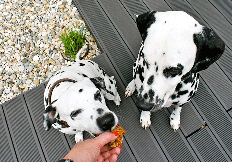 Möhren-Apfel-Brocken für Hunde