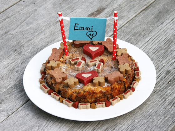 Hundetorte Emmi