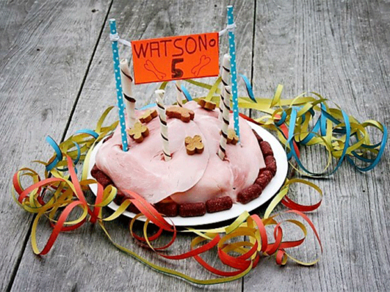 Hundetorte Watson