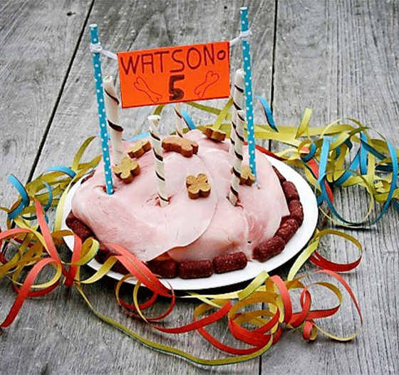 Hundetorte Watson