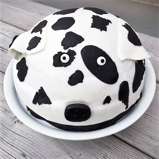 Dalmi Kuh Schokoladenkuchen Mit Ganache Und Fondant Kuchenmomente