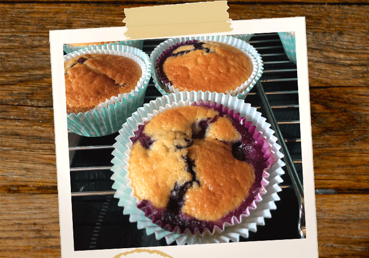 Blaubeermuffins auf Backrost