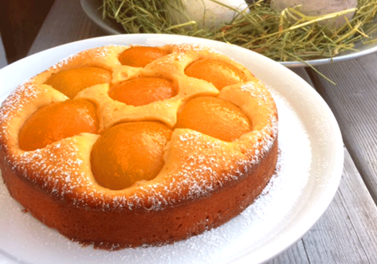 20+ Rezept Aprikosenkuchen - NirvishaTami