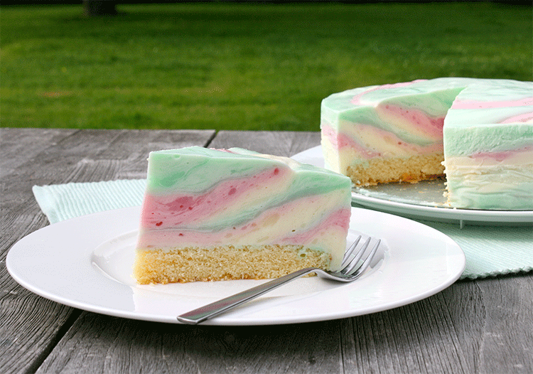 Joghurt Zebra Torte Kuchenmomente