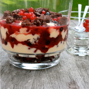 Trifle aus Schoko-Rührkuchen, Vanillequark und Johannisbeeren