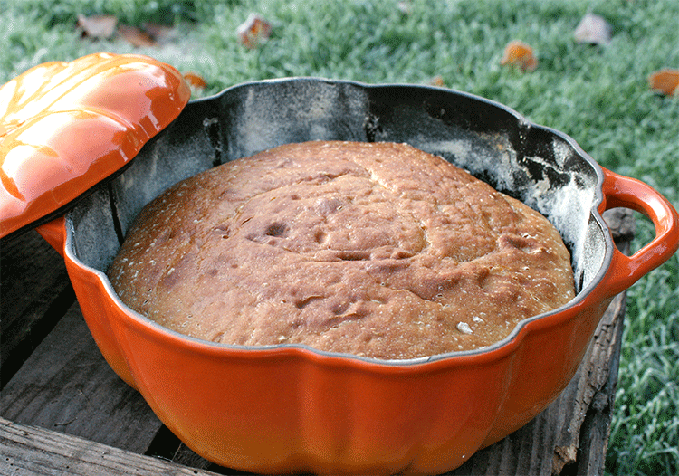 no-knead bread aus dem Topf