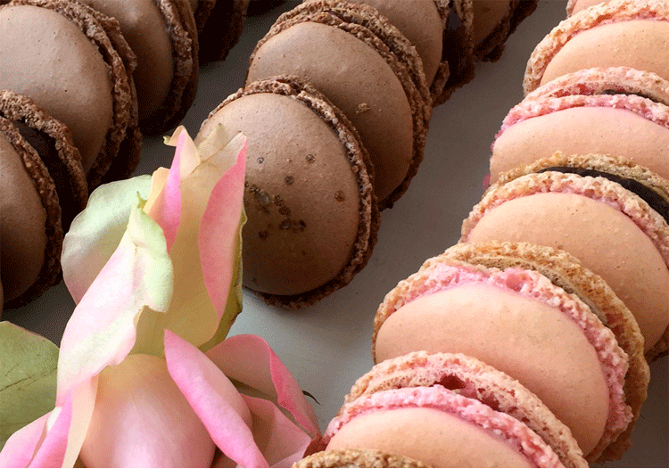 Macarons