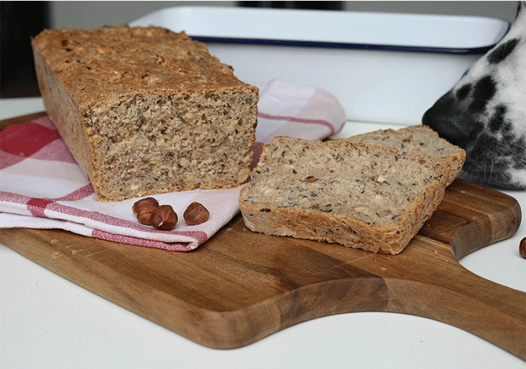 Hundenase an Haselnussbrot