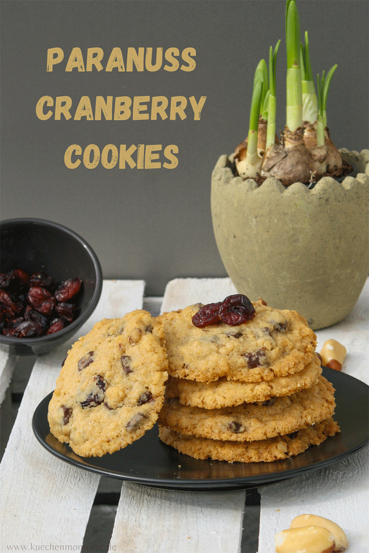 Paranuss Cranberry Cookies Pinterestboard