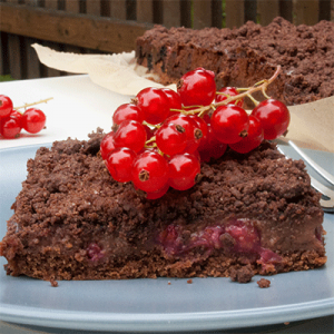 Beeriger Schokopudding-Kuchen vom Blech