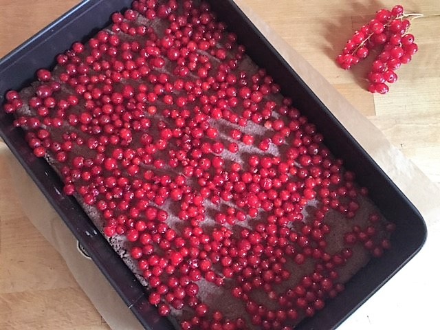 Johannisbeeren auf Schokomürbeteig