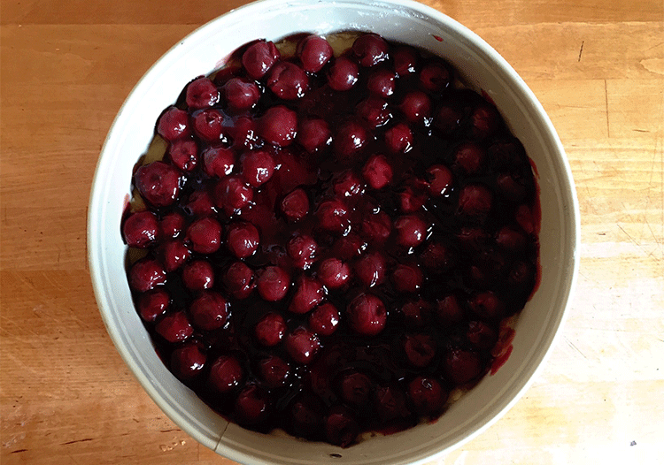 Sauerkirschen für Oma´s Käsekuchen