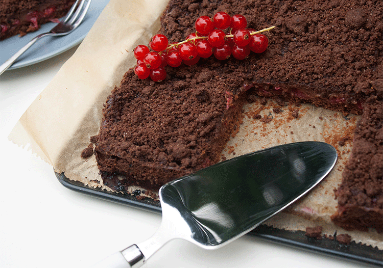 Schokoladiger Blechkuchen mit Johannisbeeren