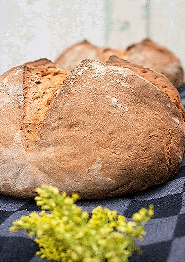 Hausbrot (Rezept Christina Bauer) - Küchenmomente