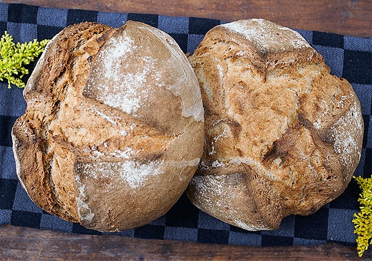 Leckeres Brot ohne viel Schnickschnack