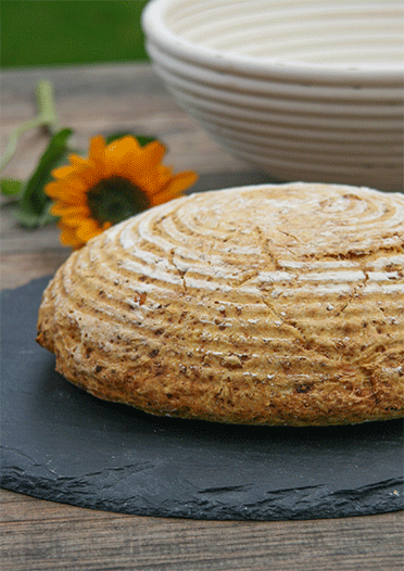 Kürbisbrot