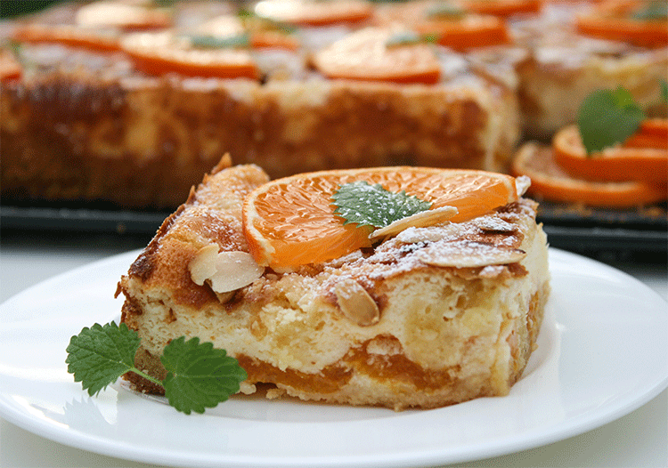 Käse-Quark-Blechkuchen mit Mandarinen