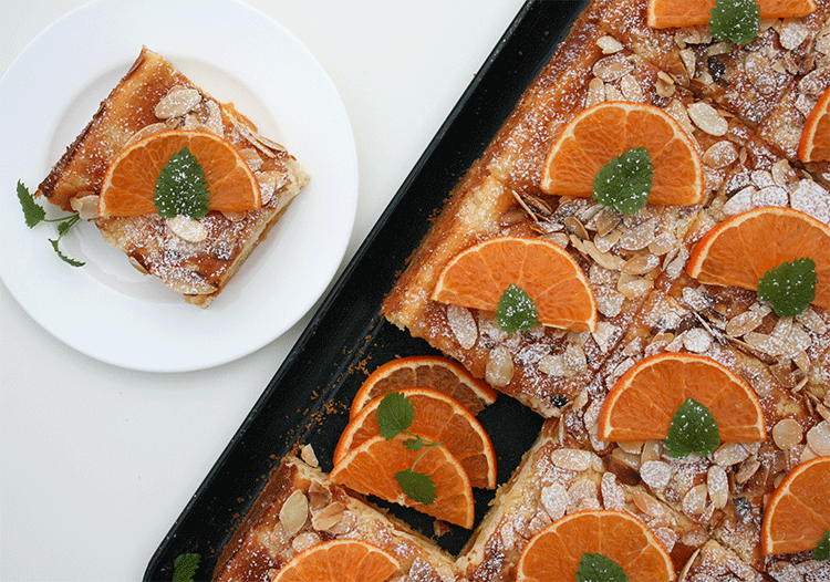 Käseblechkuchen mit Mandarinen