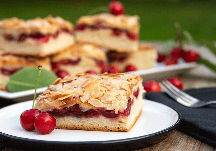 Blechkuchen mit Kirschen