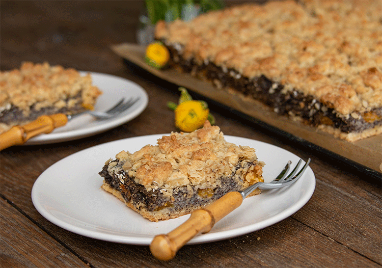 Mohnkuchen mit Mandarinen