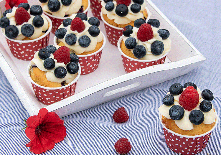 Saftige Blaubeer Cupcakes