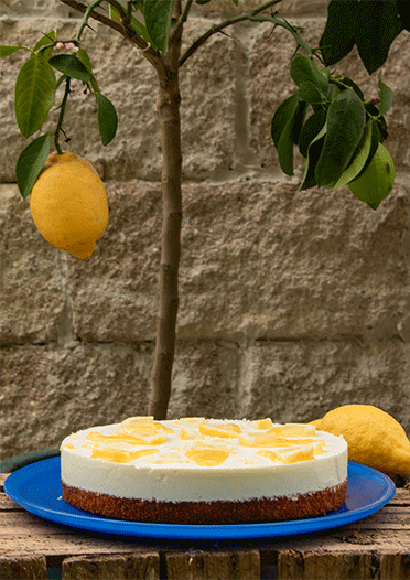 Zitronen Schmand Kuchen mit Lemon Curd - Küchenmomente