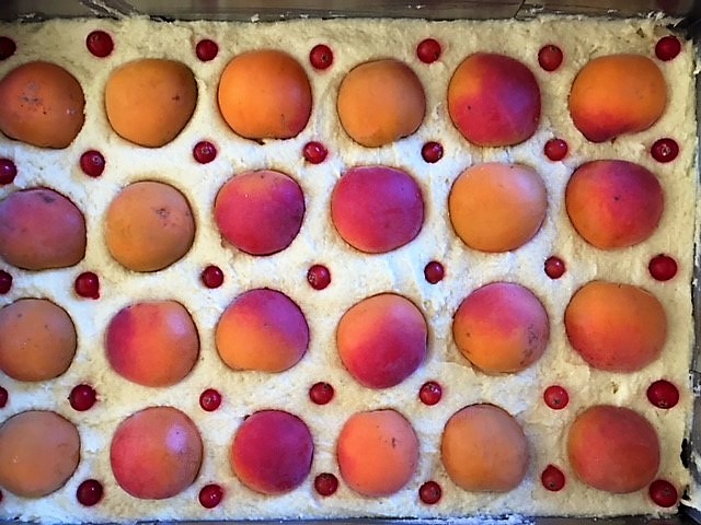 Aprikosen und Johannisbeeren auf einem Blechkuchen