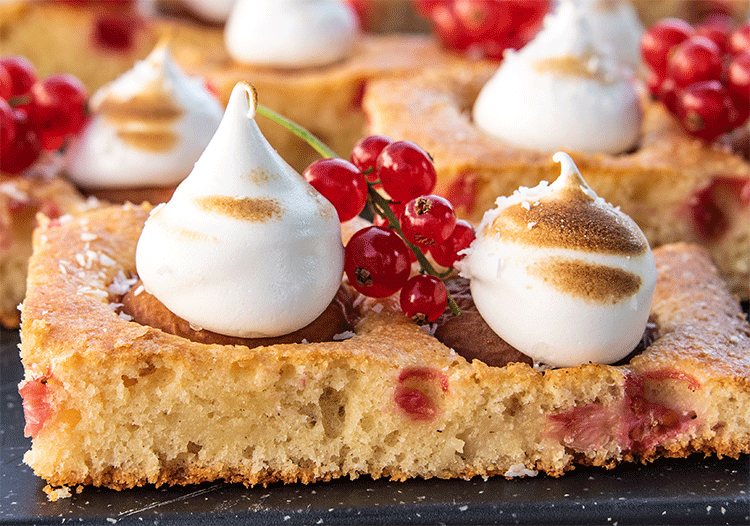 Aprikosen Schnitte mit Baisertupfen