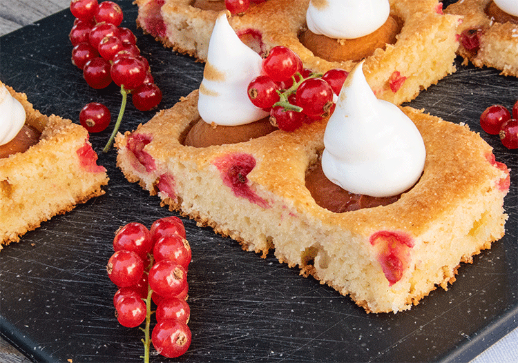 Blechkuchen mit Aprikosen und Johannisbeeren