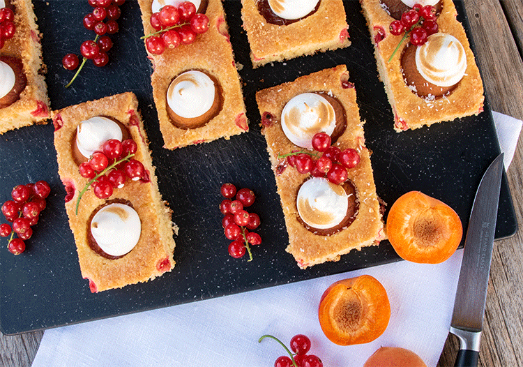 Blechkuchen mit Aprikosen und Johannisbeeren