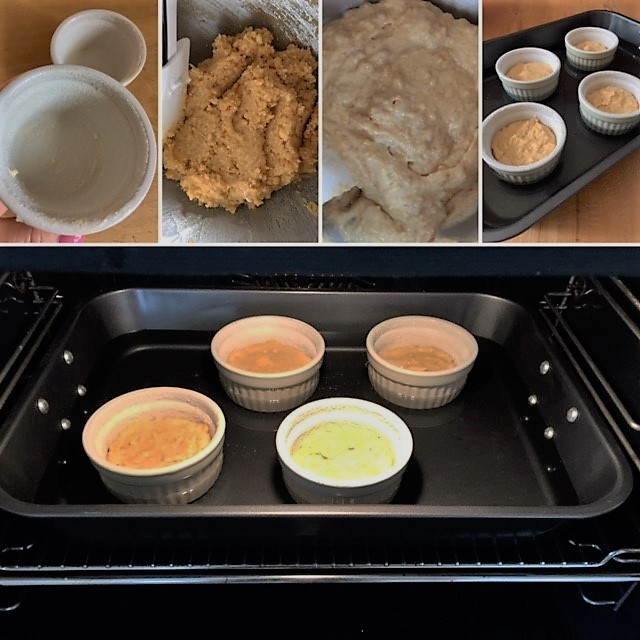 Collage Gato de almeras