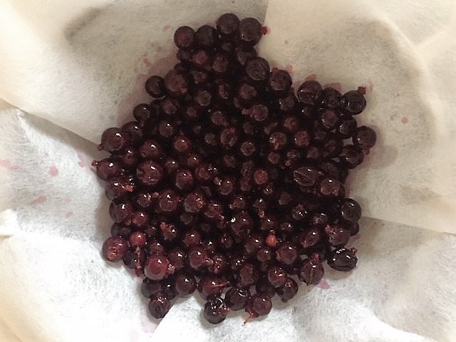 Johannisbeeren schwarz