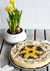 Fruchtige Mango-Joghurt-Torte ohne Backen mit Schokokeksboden