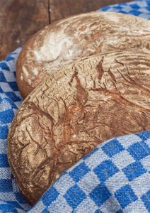 Badisches Landbrot Mischbrot mit Sauerteig