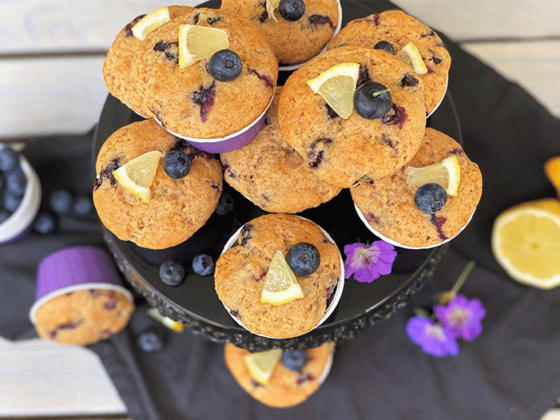 Blaubeer-Zitronen-Muffins