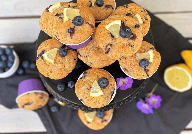 Blaubeer-Zitronen-Muffins - Küchenmomente