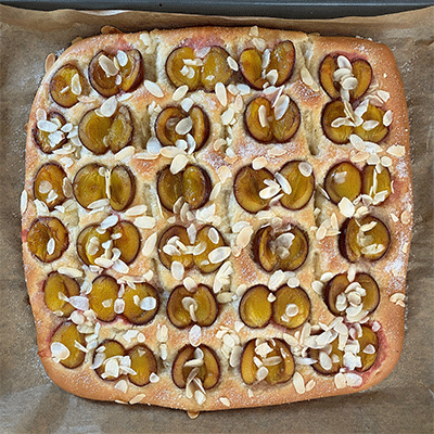 Butterkuchen mit Zwetschgen frisch aus dem Ofen