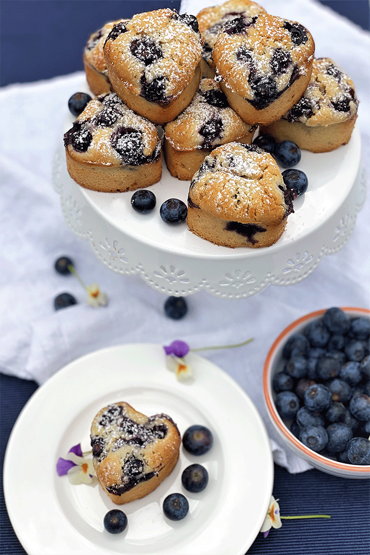 Blaubeer Mini Kuchen aus Frankreich