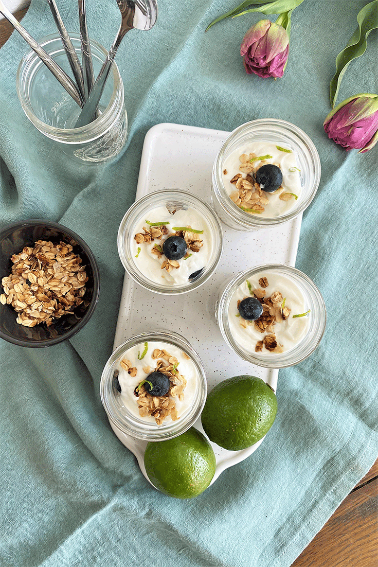 Blaubeer-Dessert mit Skyr und Haferflocken