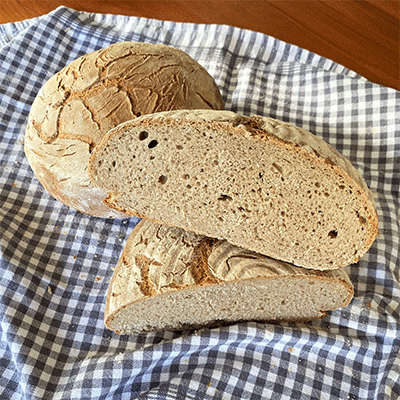 Anschnitt Gassenhauer Sauerteigbrot