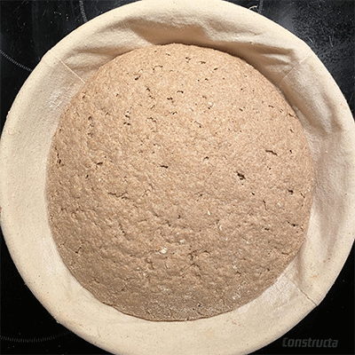 Teig im Gärkörbchen