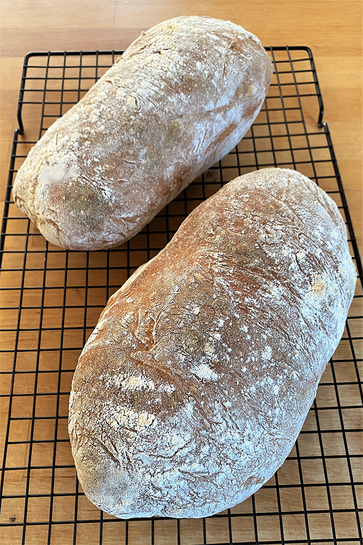 Solothurner Brot direkt aus dem Ofen