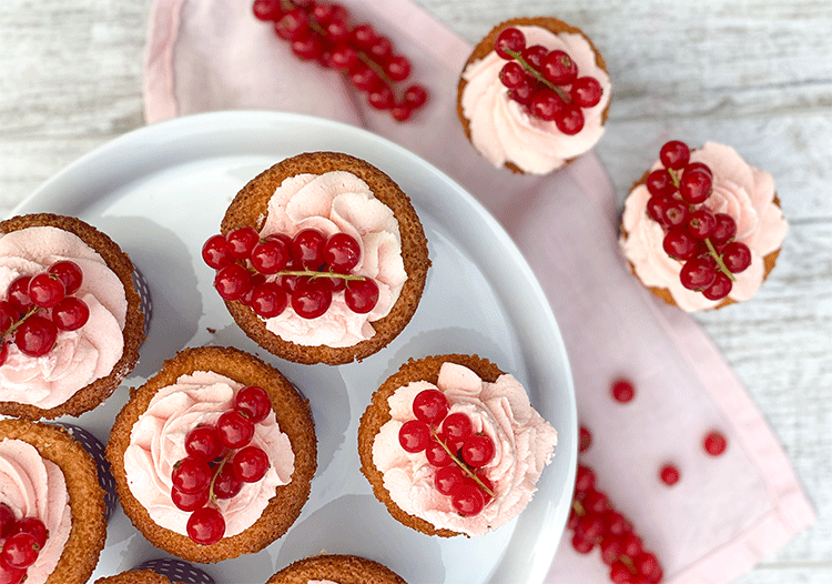 Vanille-Cupcakes mit Johannisbeeren