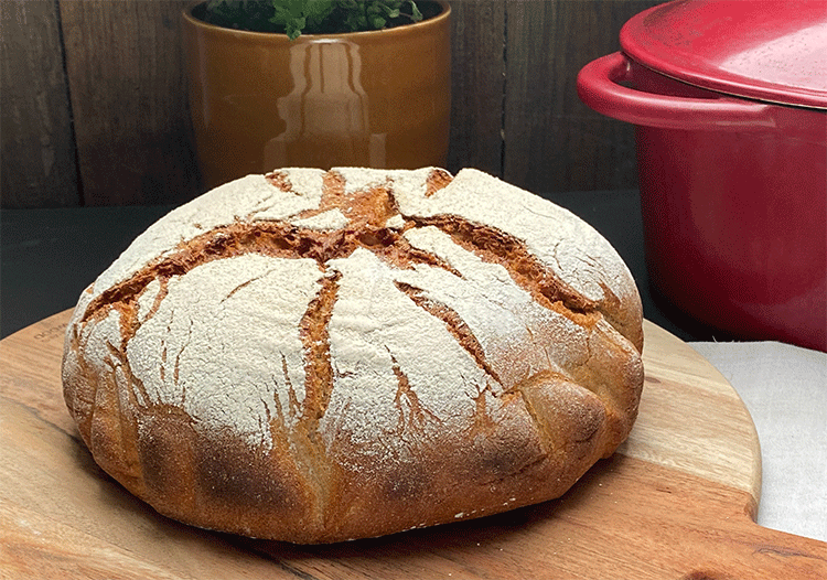 Buttermilchbrot aus dem Topf