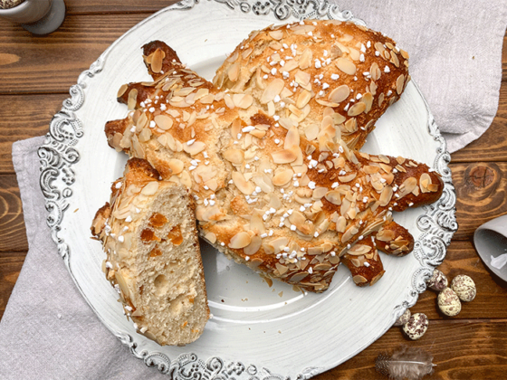 Columba Pasquale Ostertaube im Anschnitt