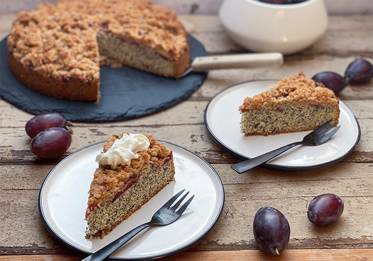 Anschnitte Mohnkuchen Streuselkuchen Pflaumenkuchen