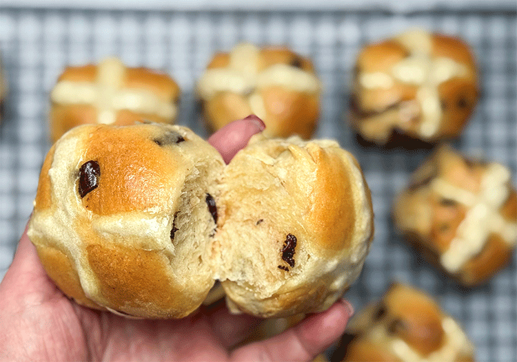 Fluffige Hot Cross Buns mit Schokolade und Cranberries